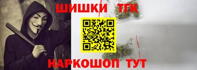 индика Владимир