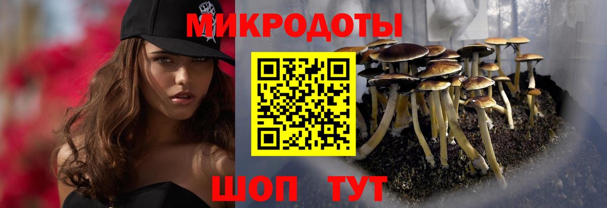 Псилоцибиновые грибы мицелий  Вход с VPN  где купить наркотик  Оренбург 